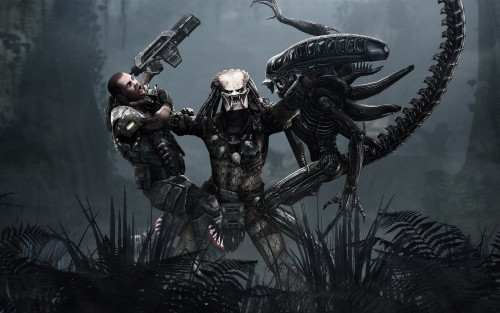 aliens_vs__predator_game-wide.jpg